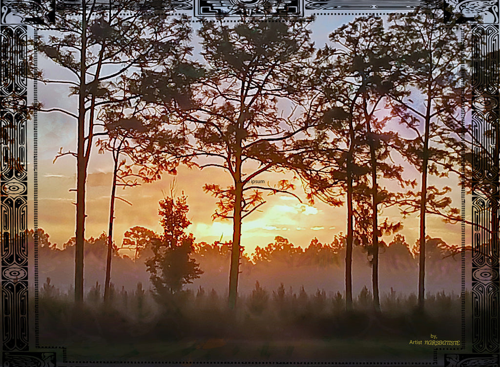 Pine Trees Foggy Sunset 